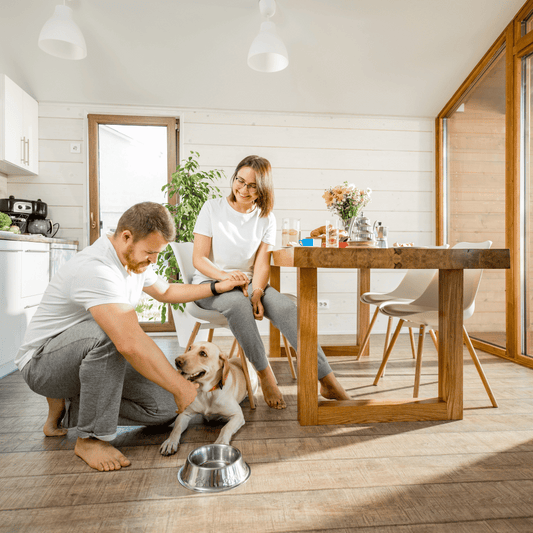 family petting pet