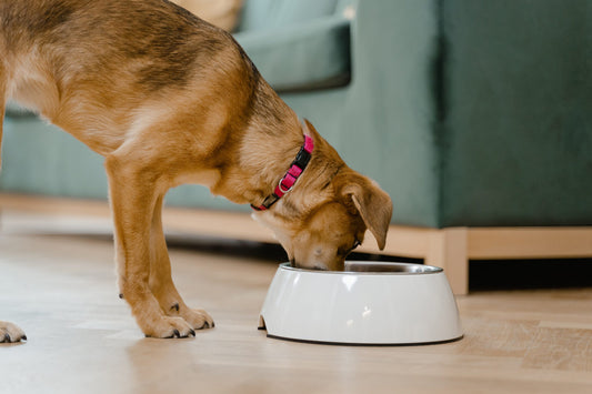 Flexible Feeding Made Easy