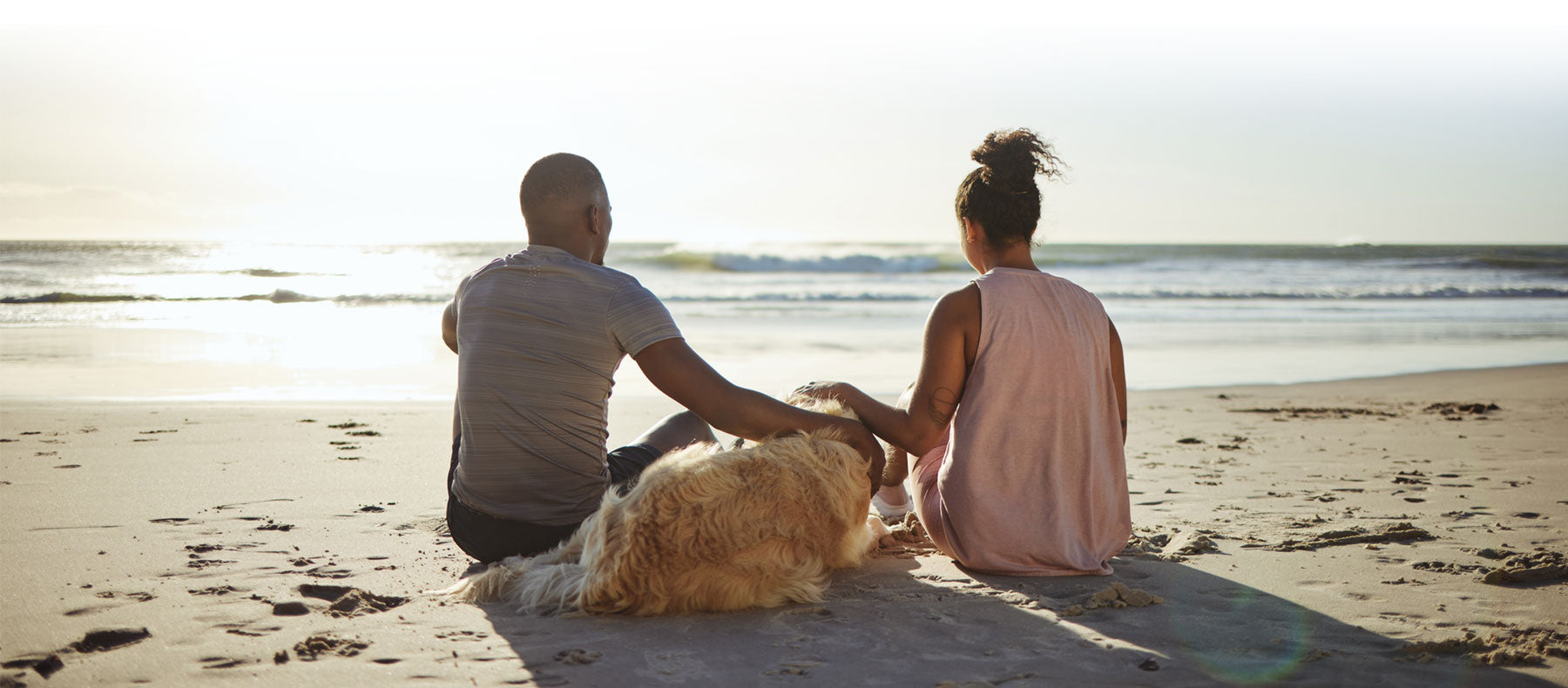 a couple and dog watching sunset