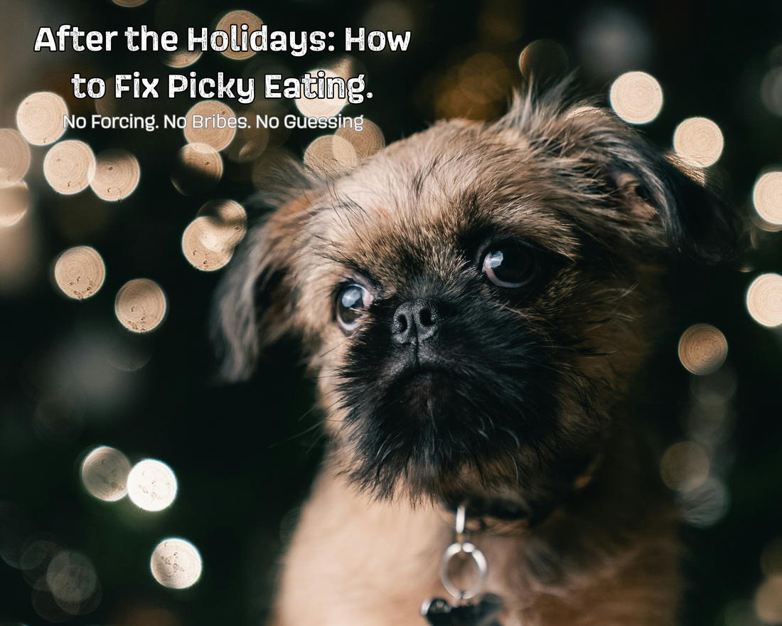 After the Holidays: How to Fix Picky Eating. No Forcing. No Bribes. No Guessing.