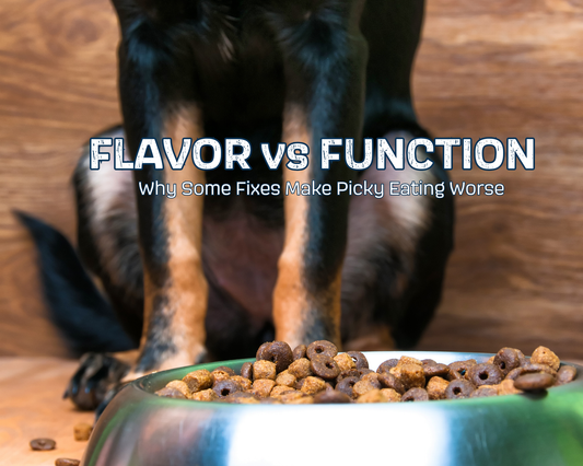 Flavor vs Function Why Some Fixes Make Picky Eating Worse