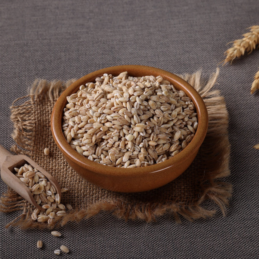 “The Truth About Ancient Grains in Dog Food (and Why Naavi Uses Them)”