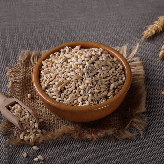 “The Truth About Ancient Grains in Dog Food (and Why Naavi Uses Them)”